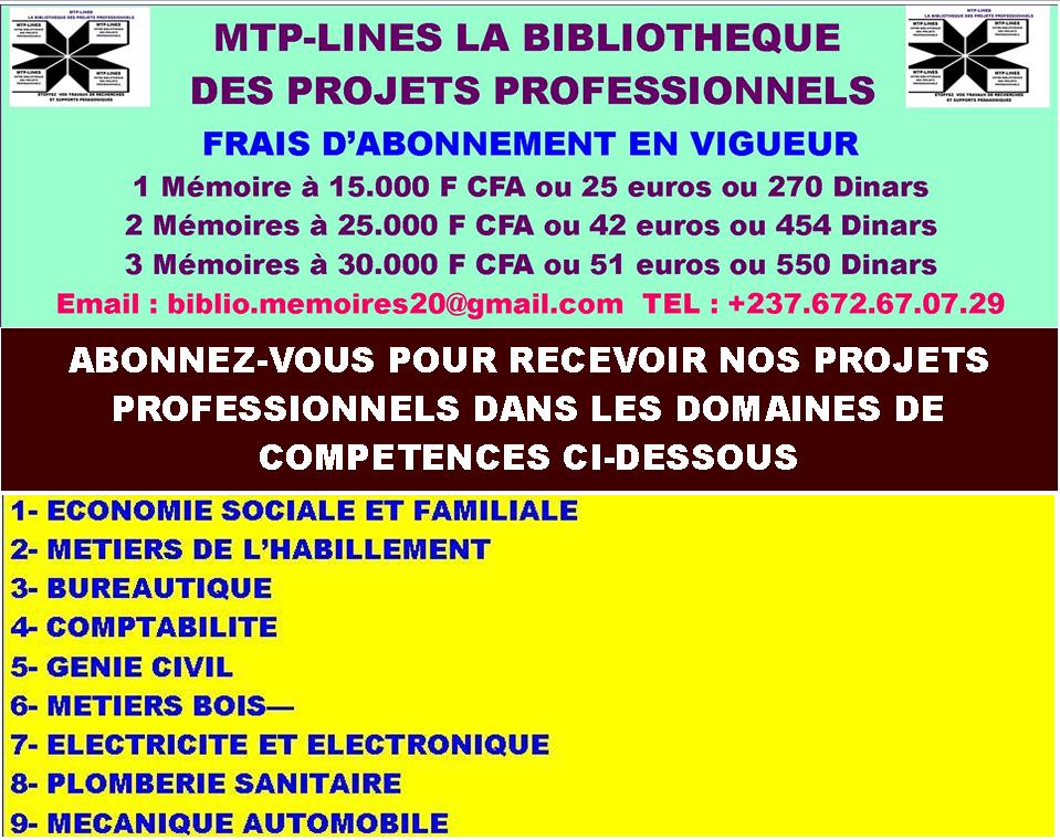 DES PROJETS PROFESSIONNELS THÈMES EN MÉTIERS DU BOIS MENUISERIE
