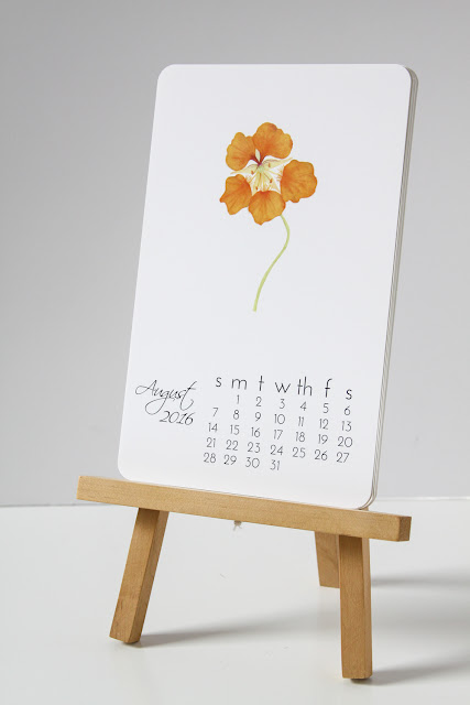 watercolor calendar, art print calendar, botanical calendar, Anne Butera, My Giant Strawberry