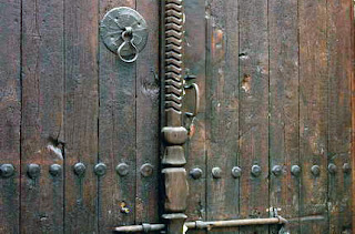 elarbolmiamigo-encinarosa: Cedros / Cedrus del Atlas. var. glauca ...