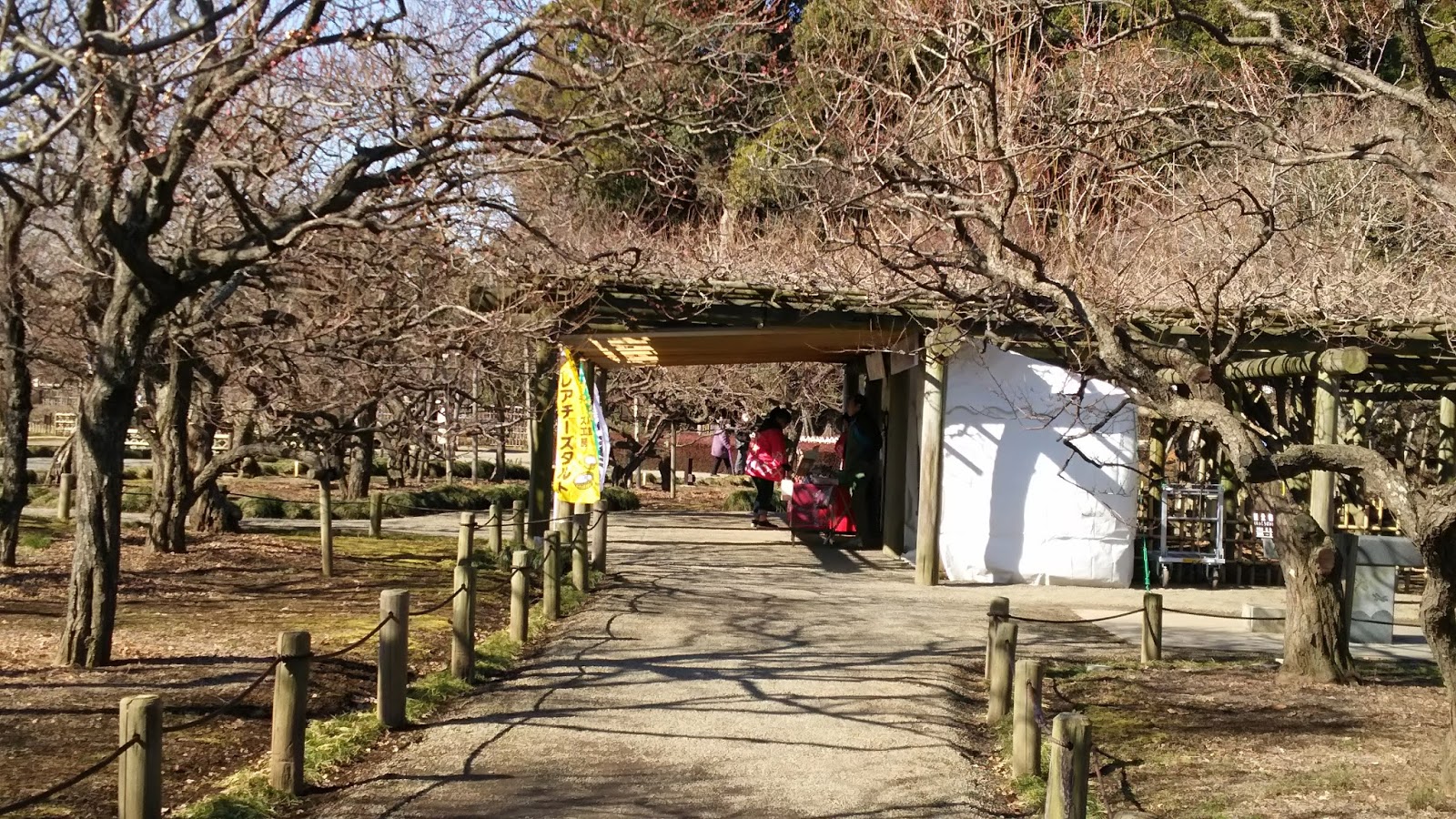 手作りチーズ工房 森のシェーブル館 日記 第122回水戸の梅まつり