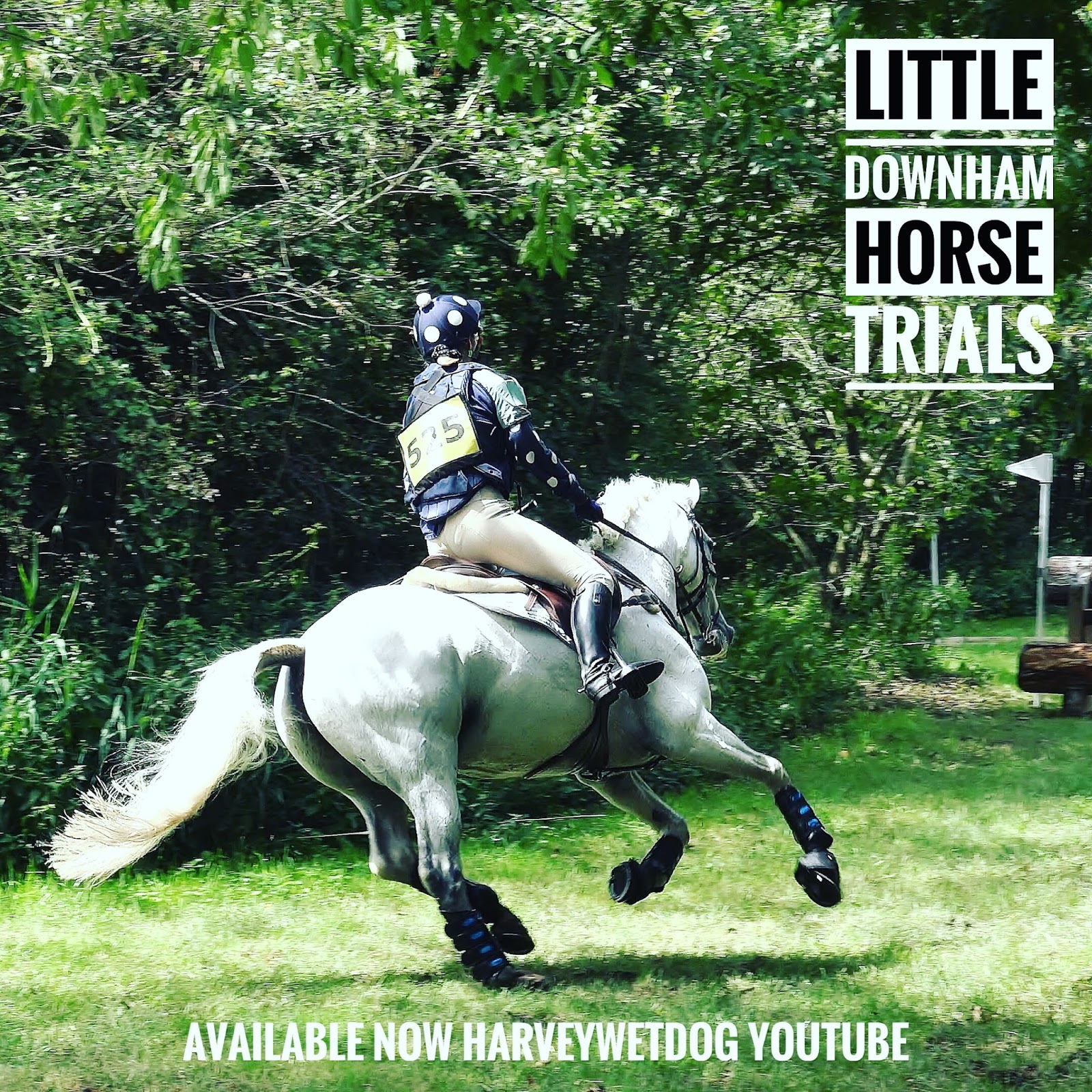 Little Downham Horse Trials (2) 2017