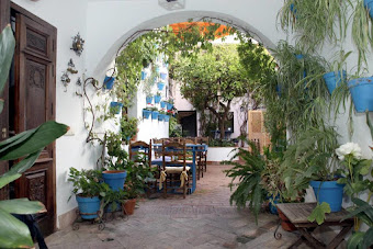 A patio with white walls and plants in blue pots growing up and down all around the place.
