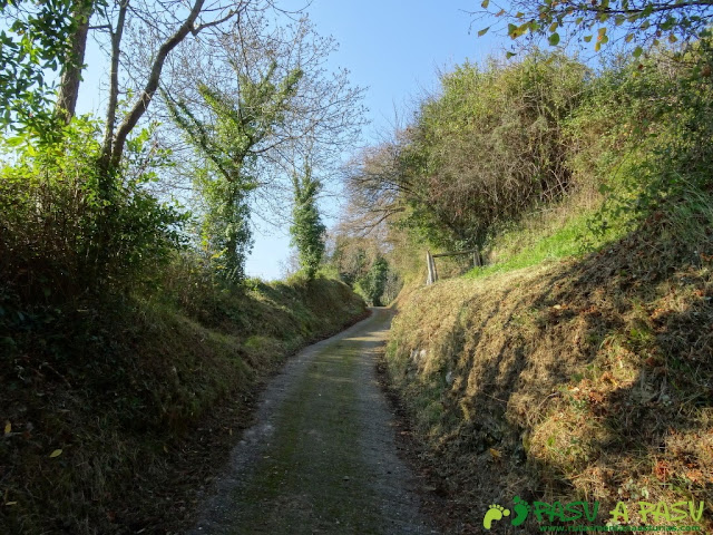 Pista subiendo de Villar en Sariego