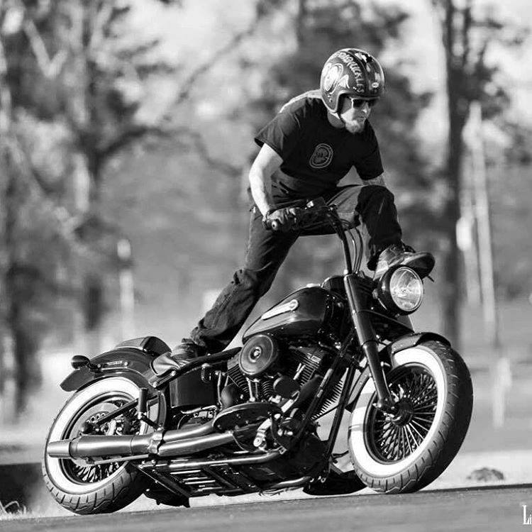 харли квинн и айви. тай симпкинс харли кинер. харли квин марго робби. тони харли. инджастис 2 харли.