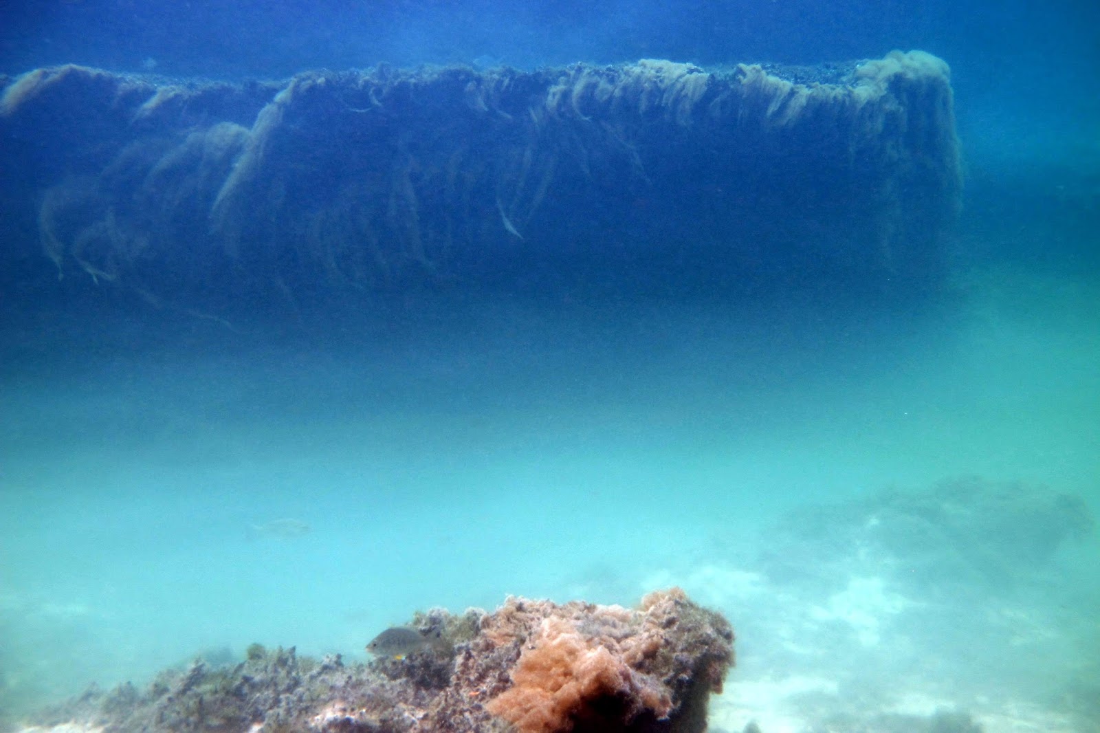 Petites images et pensées du Mexique...: Casa cenote: ambiance film d