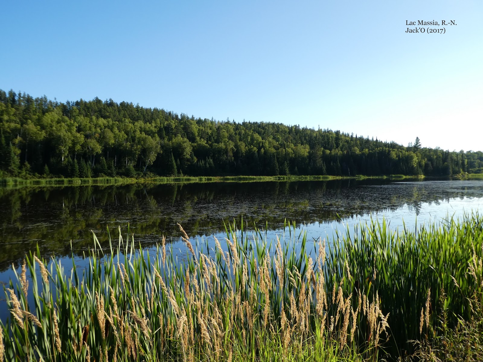 L'OEIL AU VERT LAC MASSIA, ROUYNNORANDA. 1er sept. 2017