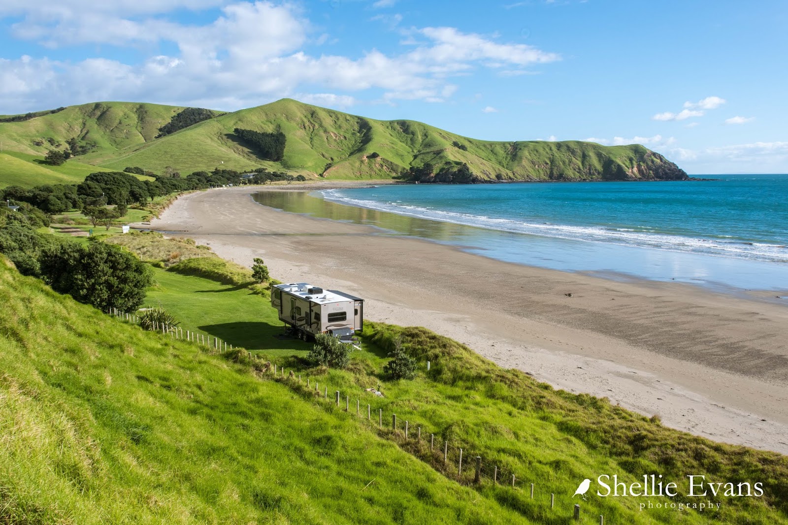 Two Go Tiki Touring A Return to Port Jackson Coromandel