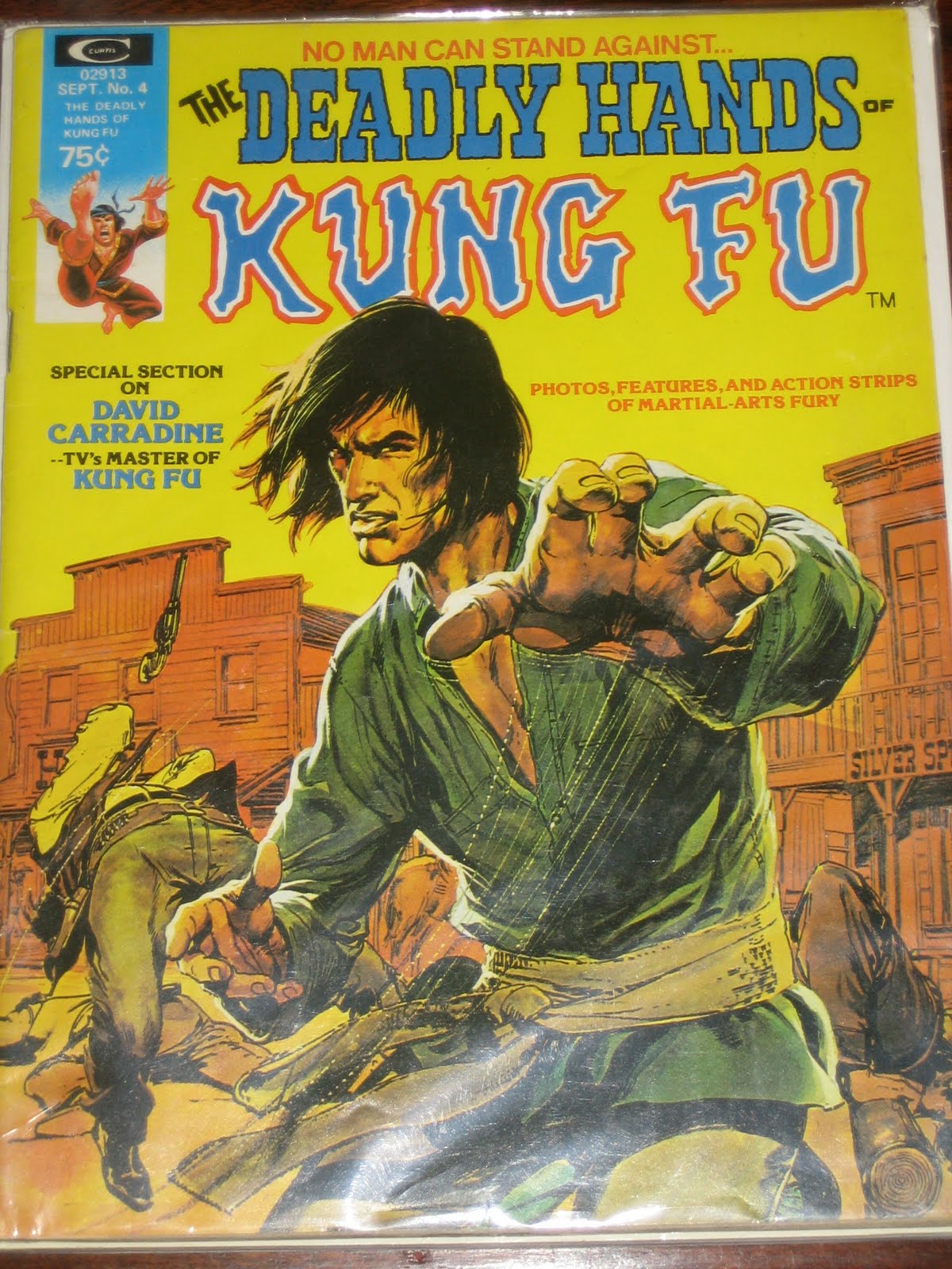 PortraitOfAMutant: KUNG FU - The TV Show