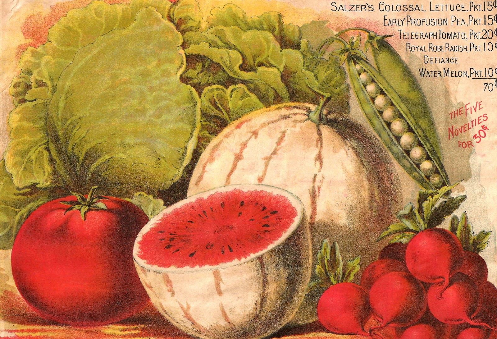 vintage vegetable clip art - photo #46