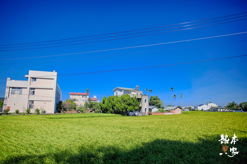苗栗公館神木景點|鶴岡千年鶼鰈老樹|自流井~鶴岡村信仰中心