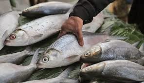 Manfaat Ikan Bandeng Bagi Kesehatan Tubuh Tips Diet Mewarnai Gambar