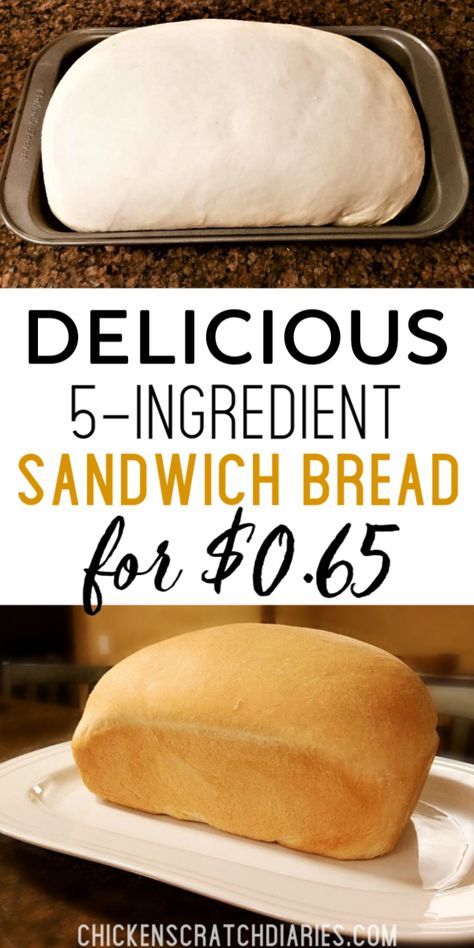 Thrifty Homemade Sandwich Bread