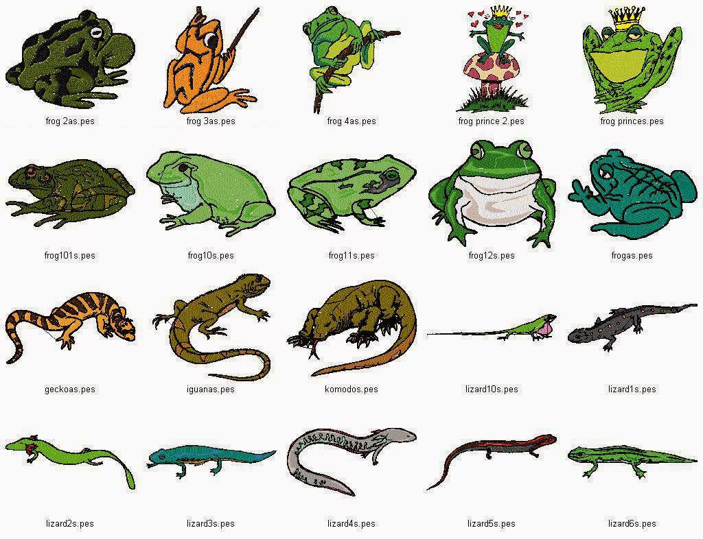 Размеры рептилий