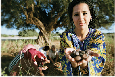 donna berbera durante la raccolta dei frutti di Argan in Marocco