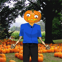 Games2rule Save the Pumpkin Man