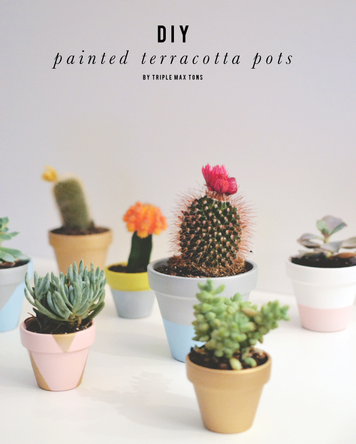 Diy Painted Terracotta Pots With Succulents And Cacti Triple Max Tons