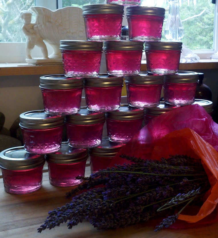 Mary's Milk Monsters Lavender Jelly
