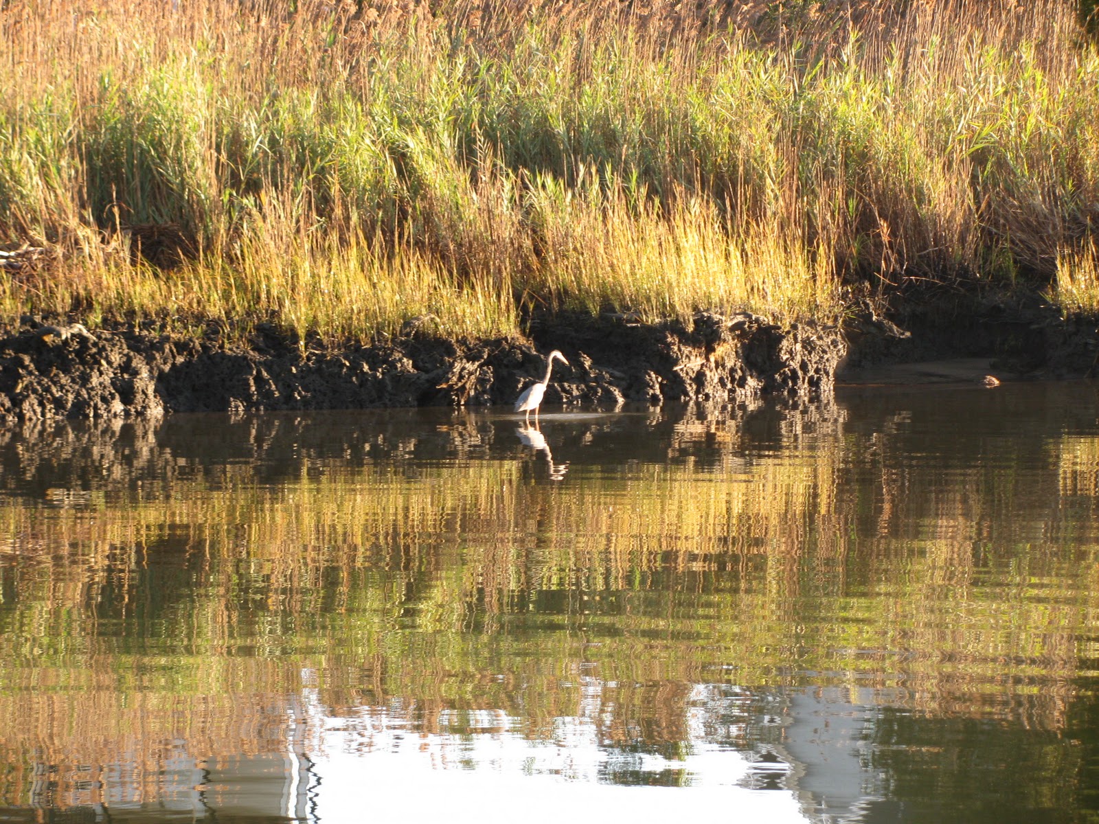Mercy Afloat Southport, NC to Myrtle Beach, SC