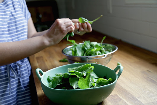 Kitchen Vignettes by Aubergine: Fresh Mint Chocolate Ice Cream: A Special Collaboration!