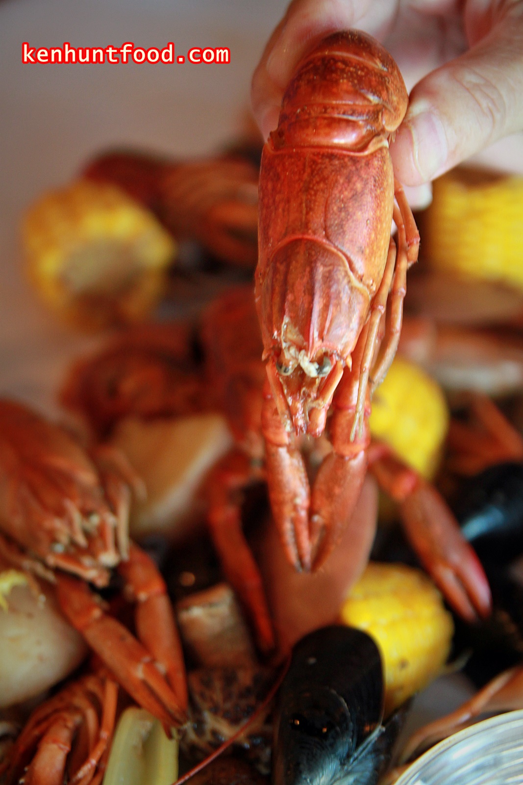 recipe willy Love Nutrient Newspaper Lobster Bistro Bayan Baru, Penang.