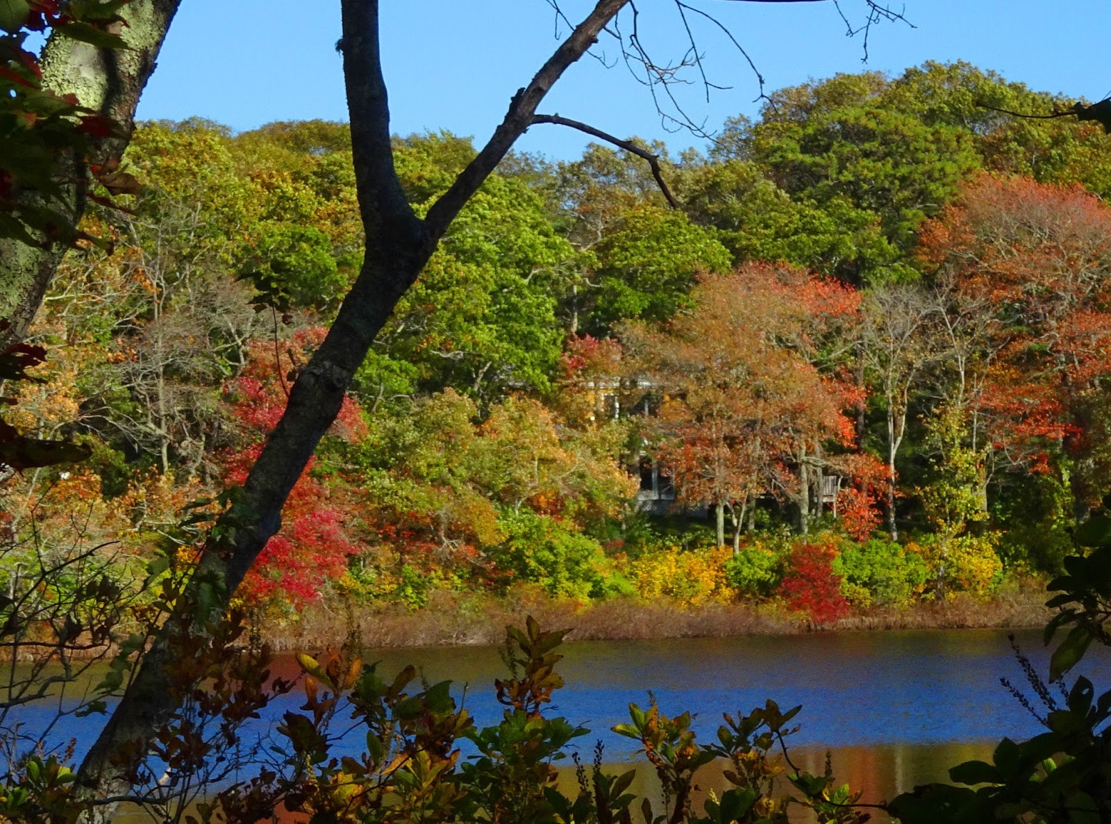 Joe's Retirement Blog Rabbit Pond, Manomet, Plymouth, Massachusetts, USA