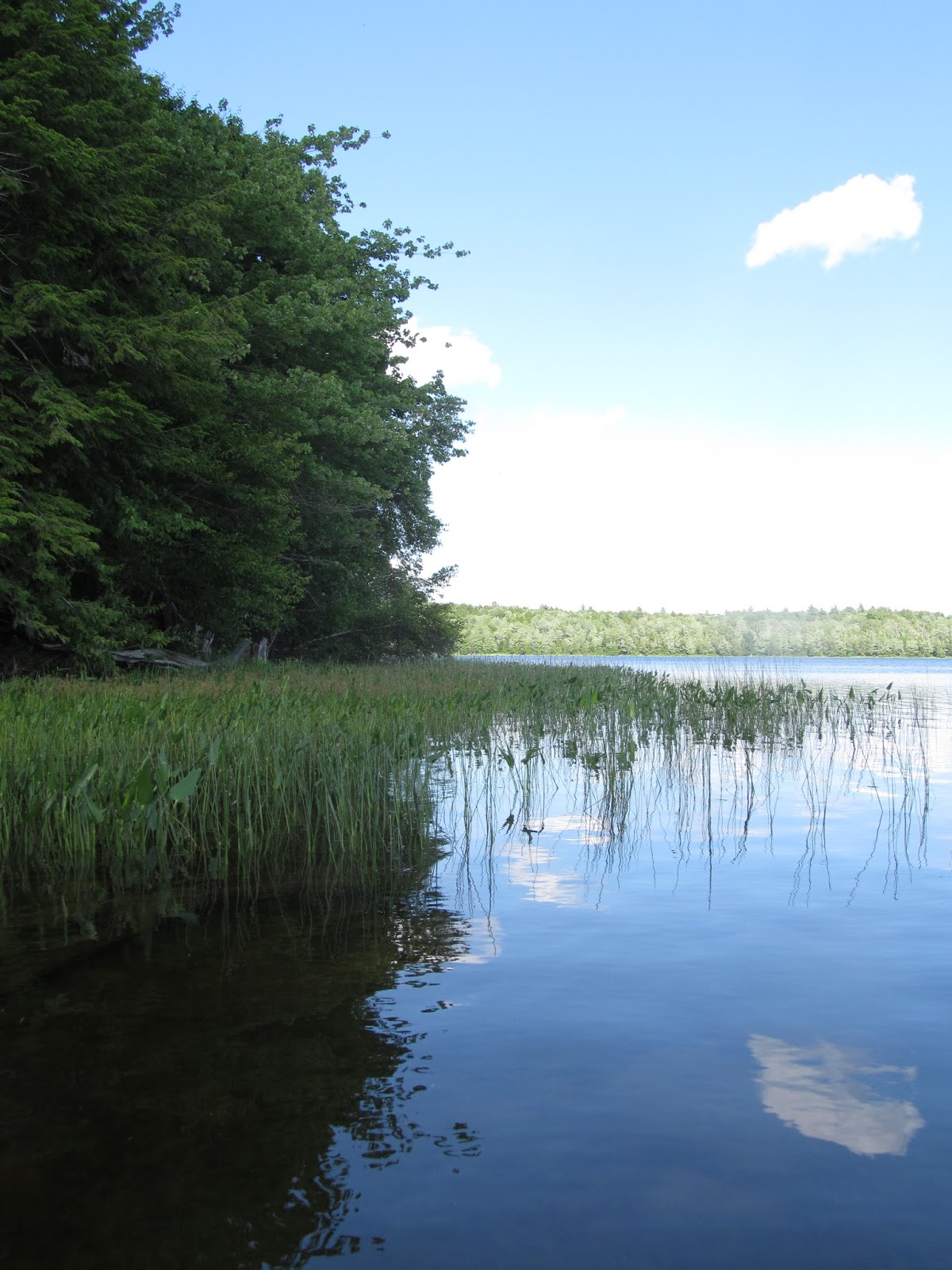 Recreational Kayaking in Maine Stump Pond, Lincoln Maine