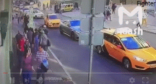 1.gif