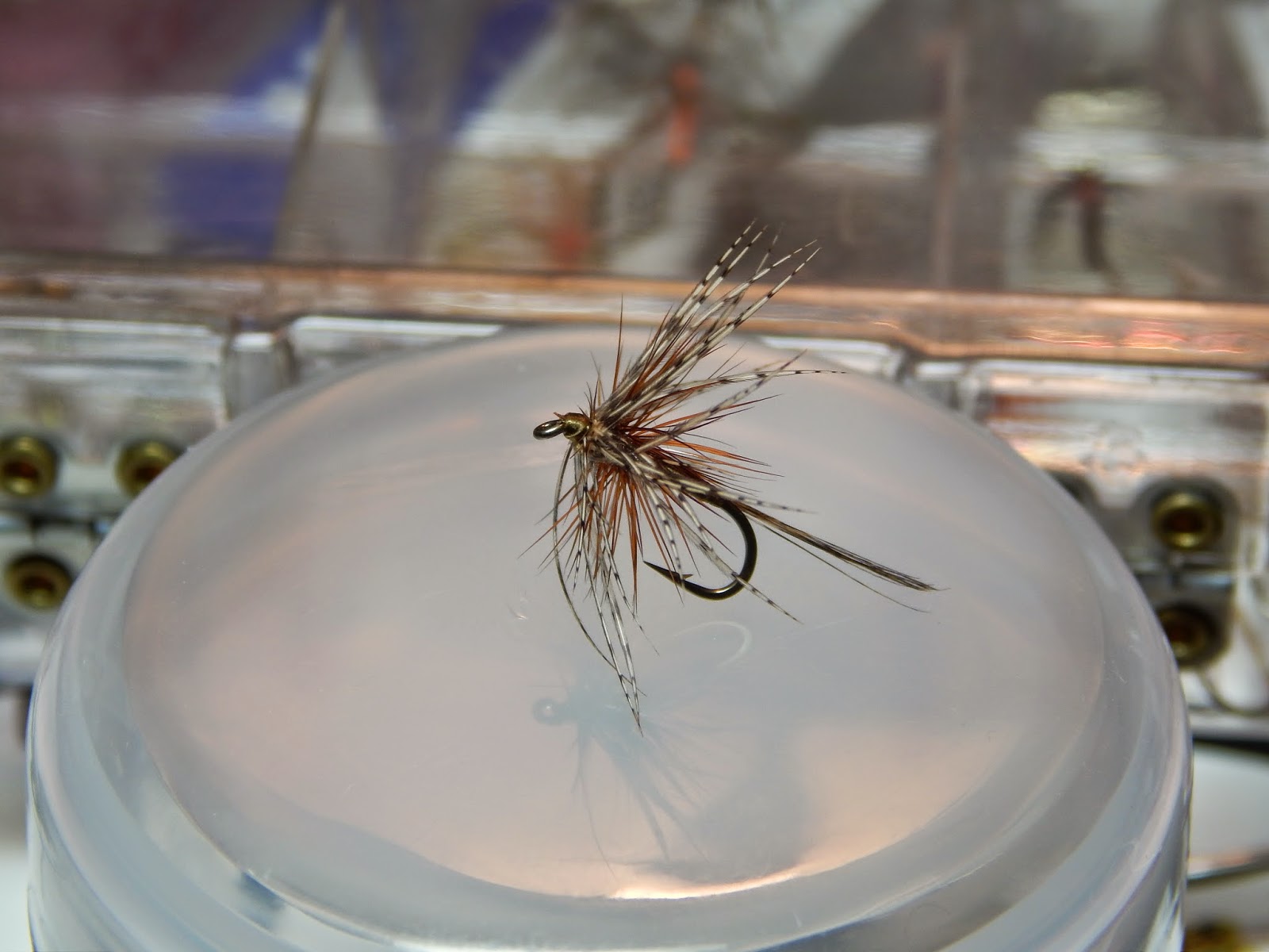 Simple And Versatile Wet Fly