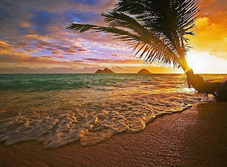 Lovely Beach Wallpapers For Android Free Download
