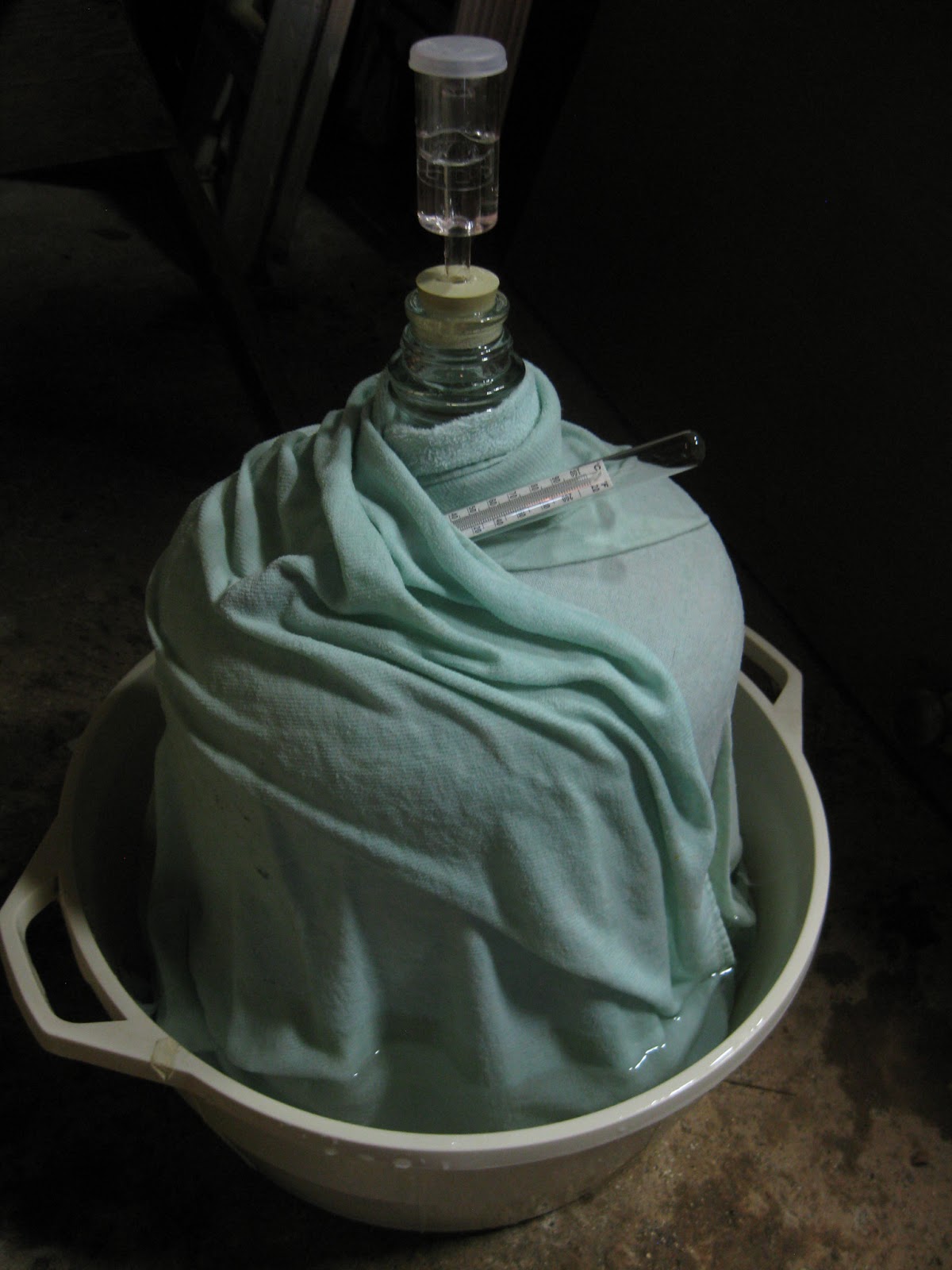 Homebrewing in Hawaii swampcooling a carboy