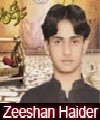 http://72jafry.blogspot.com/2014/03/zeeshan-haider-nohay-2007-to-2015.html