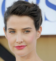 Cobie Smulders HQ photo