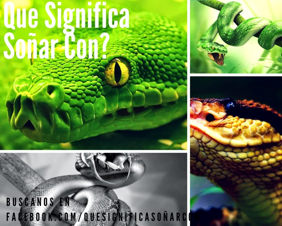 Que significa sonar con una serpiente mamba negra