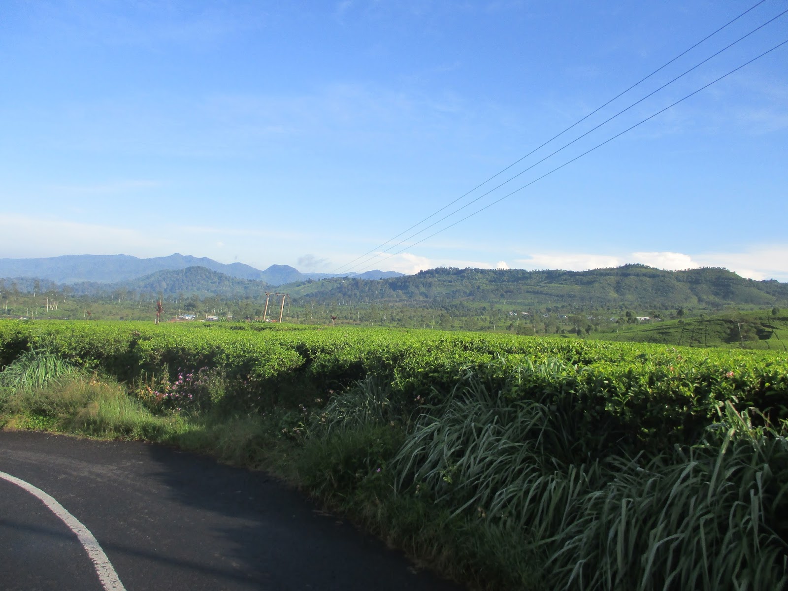 PERJALANAN CIDAUN - BANDUNG via CIWIDEY : menikmati ...