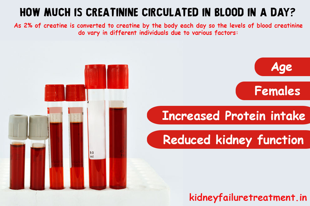 How Patients Can Reduce Their Creatinine Levels Even Without Dialysis