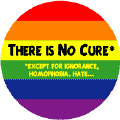 There is no cure, except for homophobia and Ignorance and hate