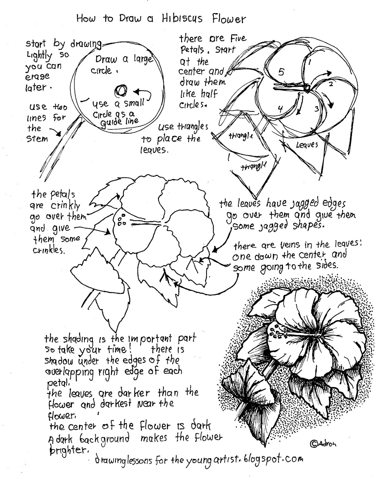 How to Draw Worksheets for The Young Artist: Printable How To Draw a