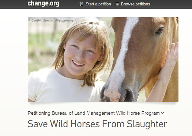 Wild horse slaughter prompts sixth grader to start petition: Crosses ...