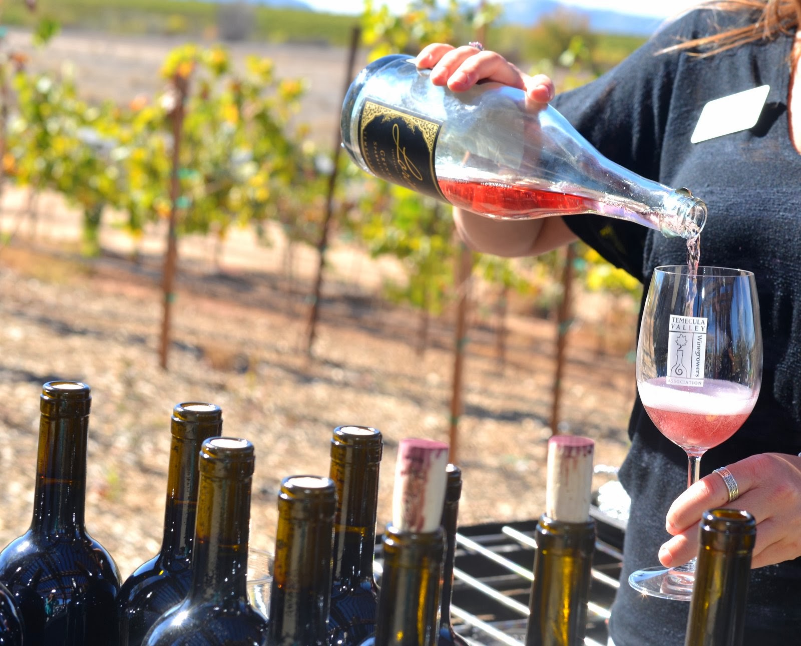 Gourmet Pigs Giveaway! World of Wine Passports to 35 Temecula Wineries