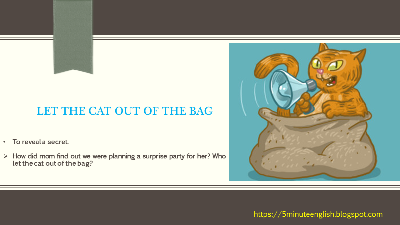 Top 10 Idioms let the cat out of the bag