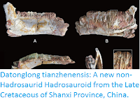 http://sciencythoughts.blogspot.co.uk/2016/04/datonglong-tianzhenensis-new-non.html