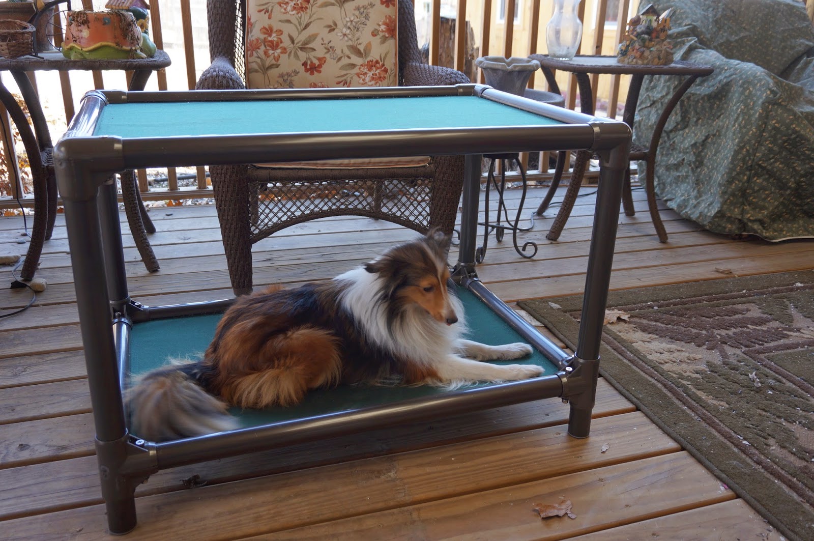 Dog Beds Kuranda at Christopher Gibson blog