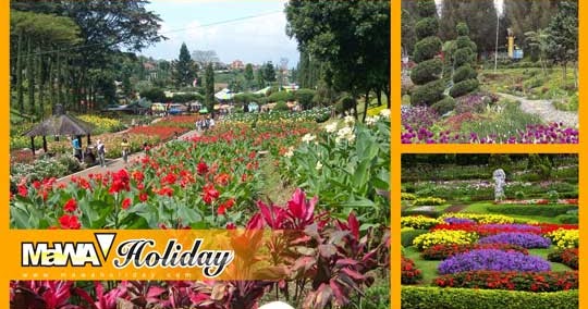 Taman Bunga Cihideung Bandung Agrowisata Budidaya Tanaman Hias
