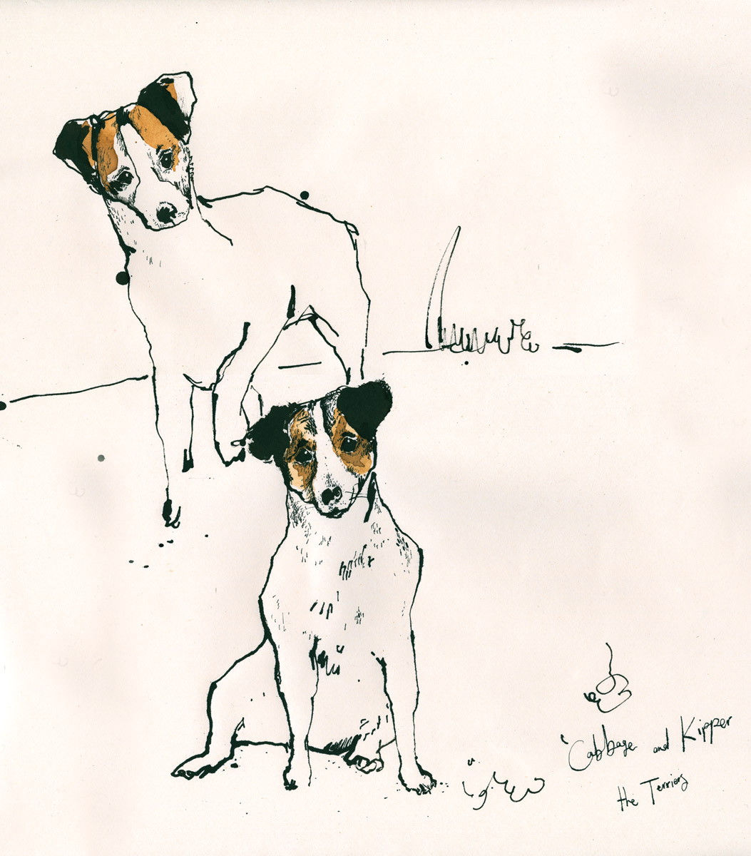 Anna Wright Illustration