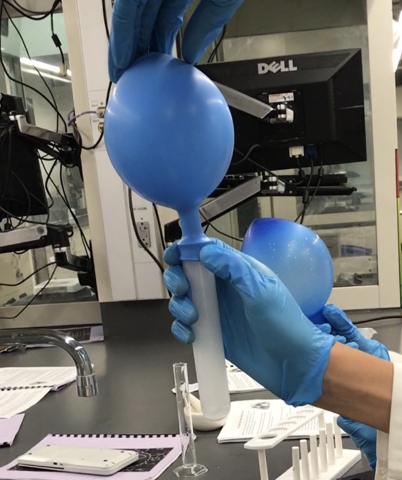 Lab 18 Alka Seltzer and the Ideal Gas Law Lab