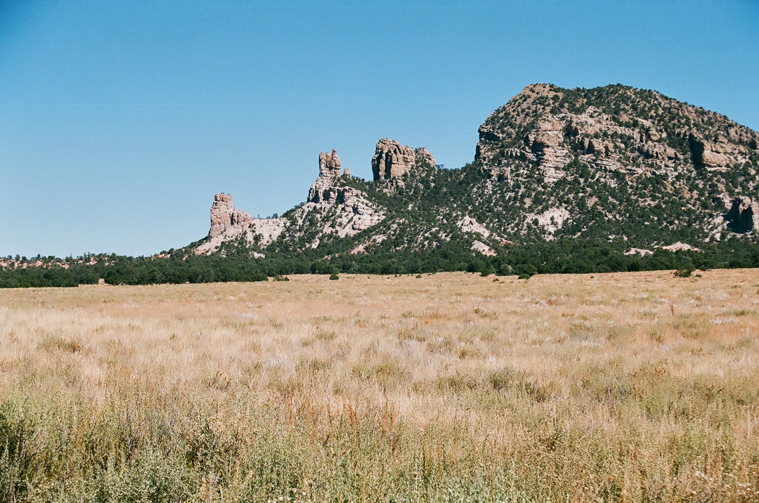 Southern New Mexico Explorer Sawtooth Mountains Cibola National Forest