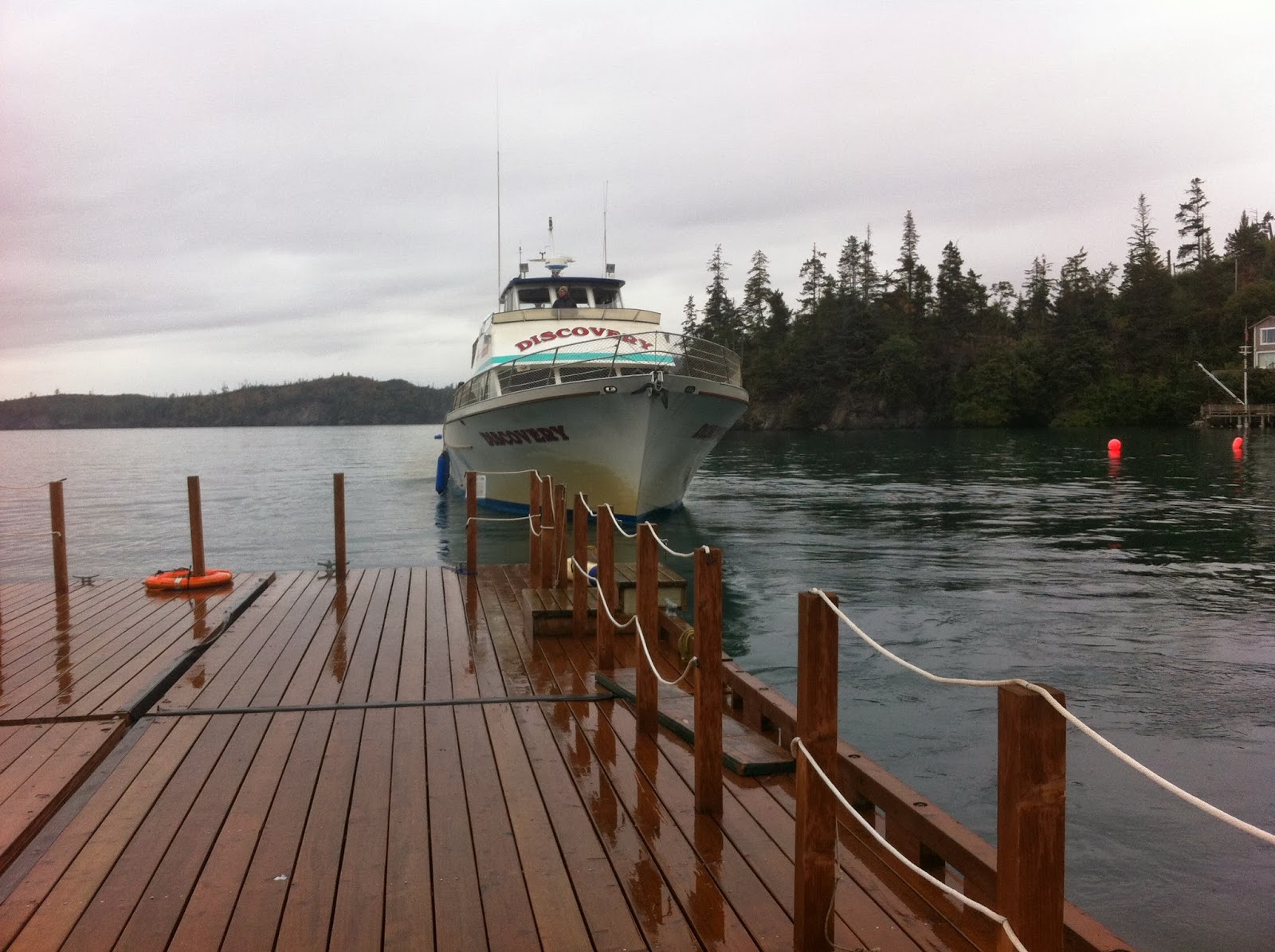 Life in Alaska — A View From Homer Peterson Bay Field Station