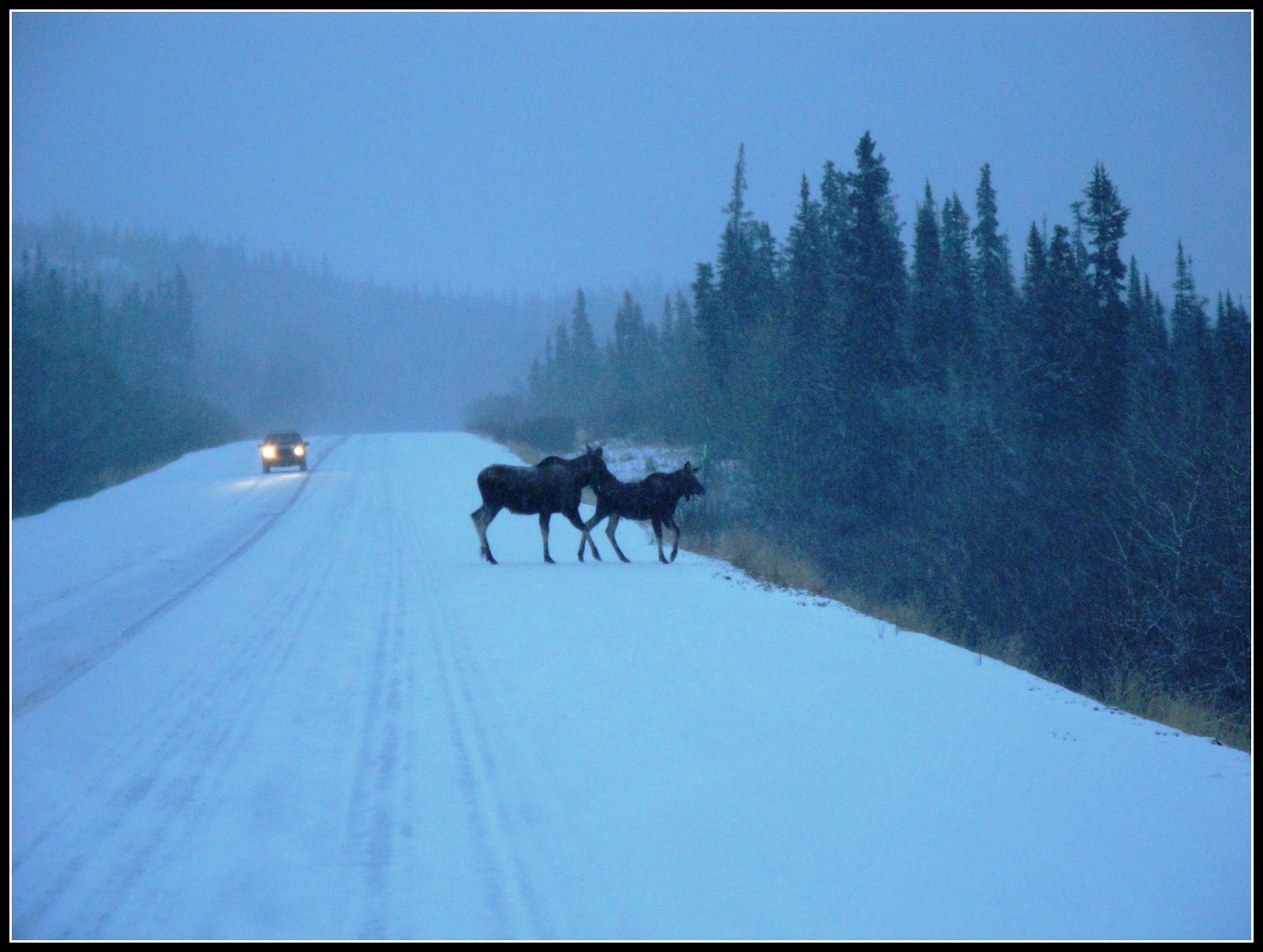 Sandra's Alaska Photography November 2011 VISIT TO OUR PROPERTY IN