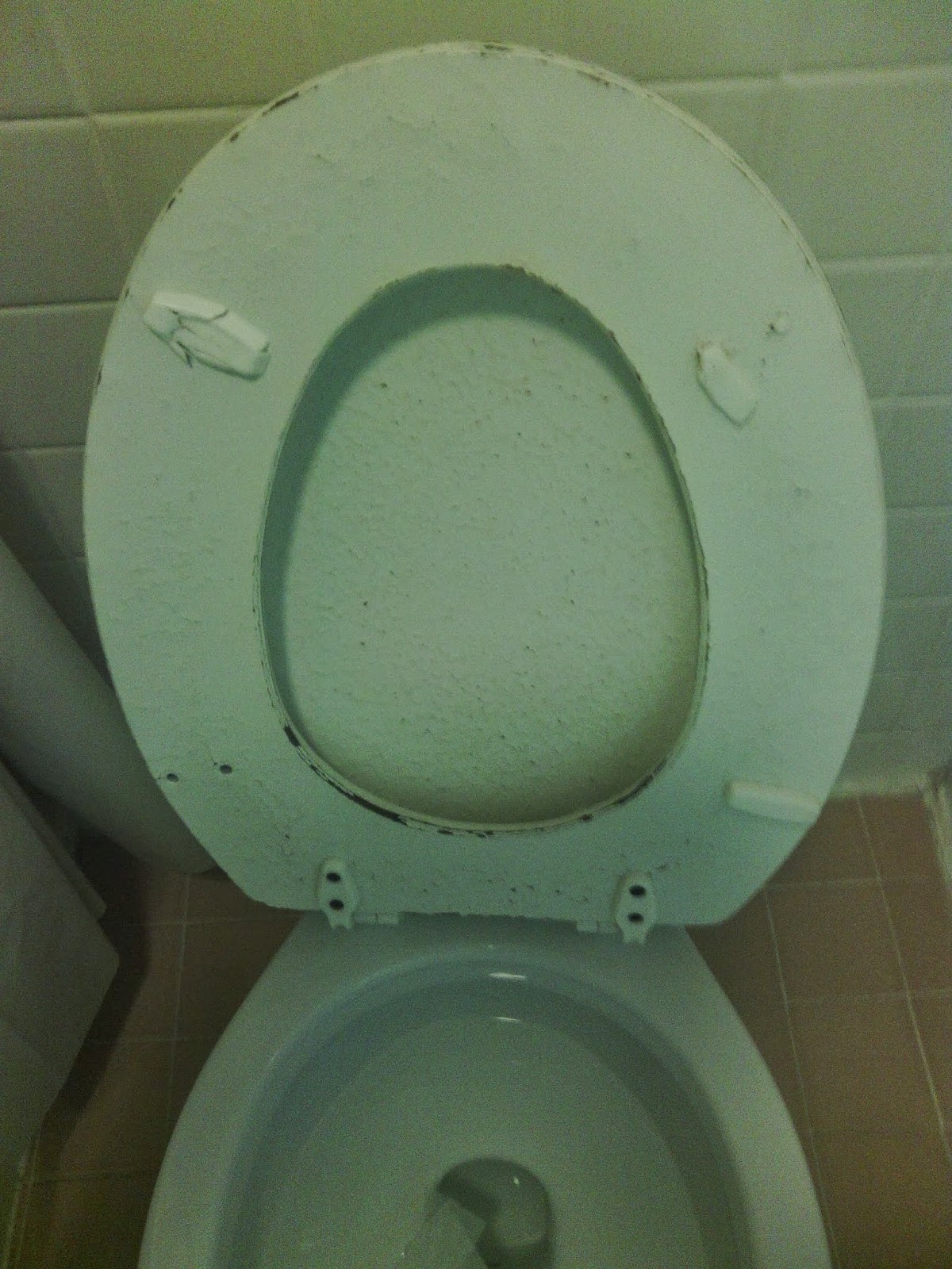 Cale's Random Musings & Adventures Rodeway Inn, 210 Asheville Highway