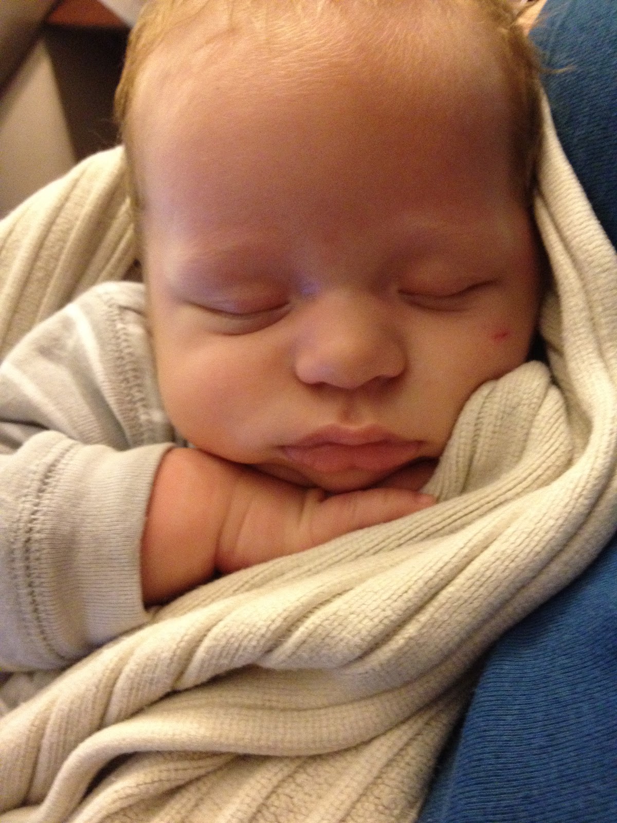 Dani's Lemonade What a sleepy, sleepy